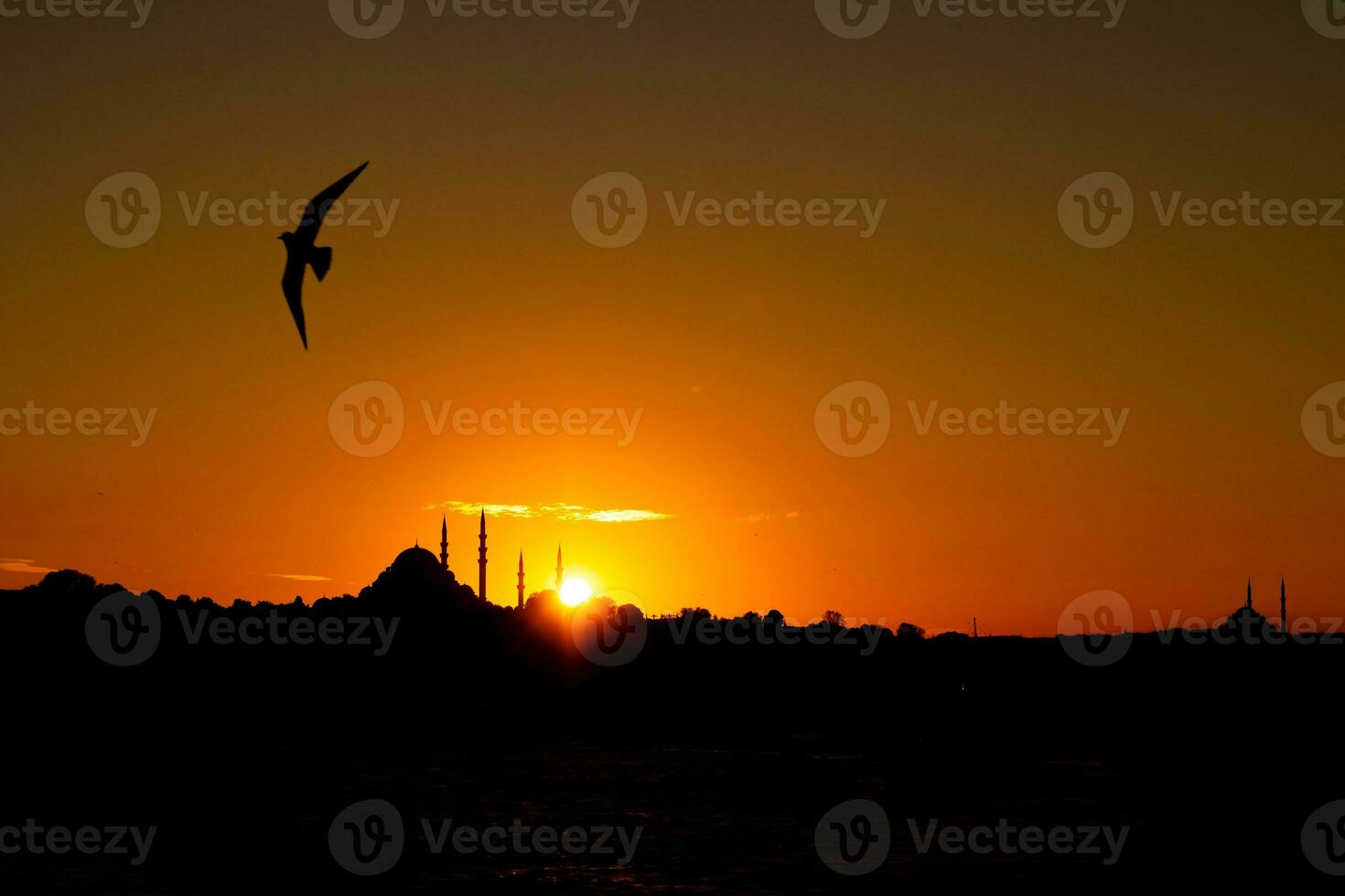 Suleymaniye Mosque and seagull at sunset. Istanbul silhouette. photo