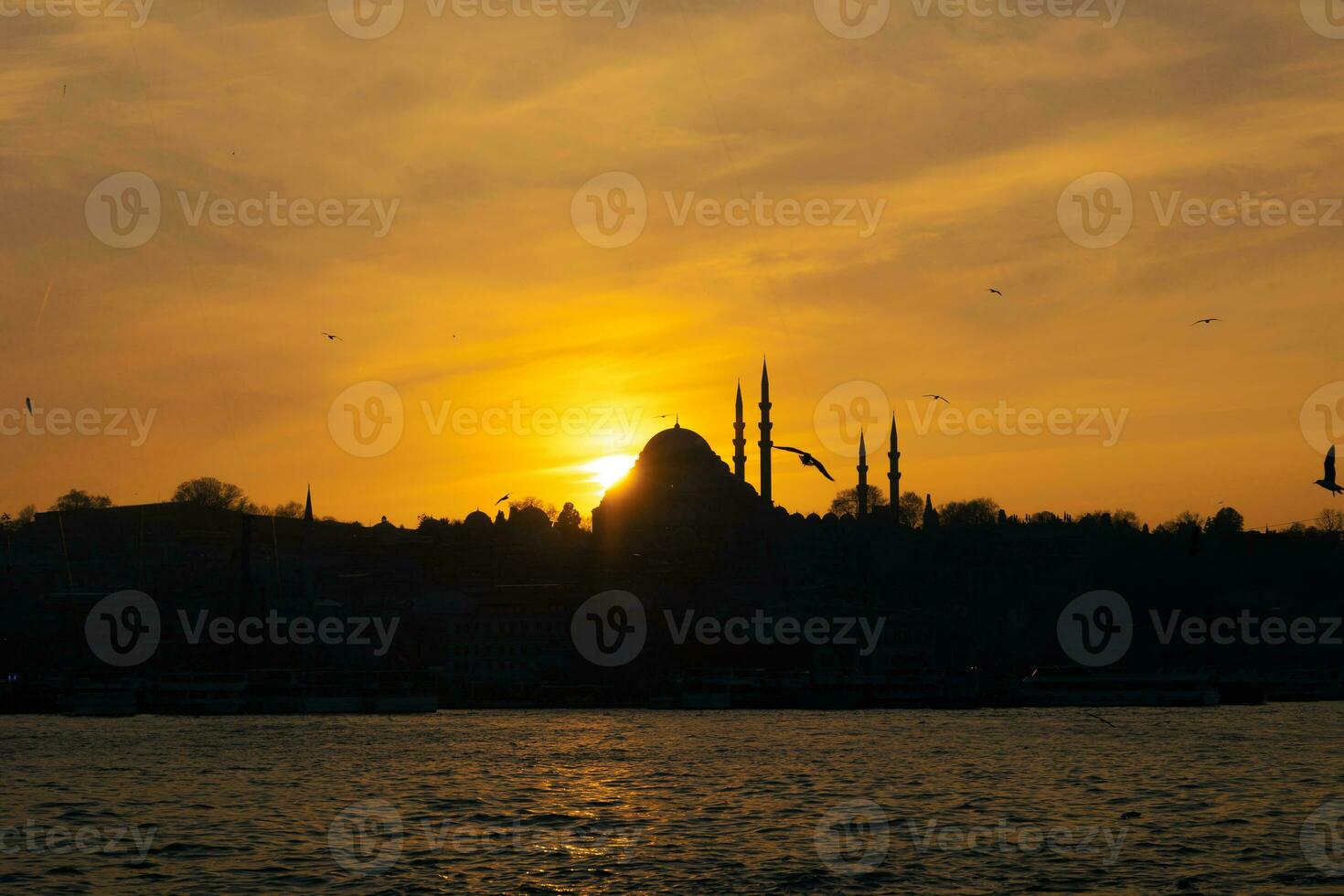 Silhouette of Suleymaniye Mosque and seagull. Islamic or ramadan photo