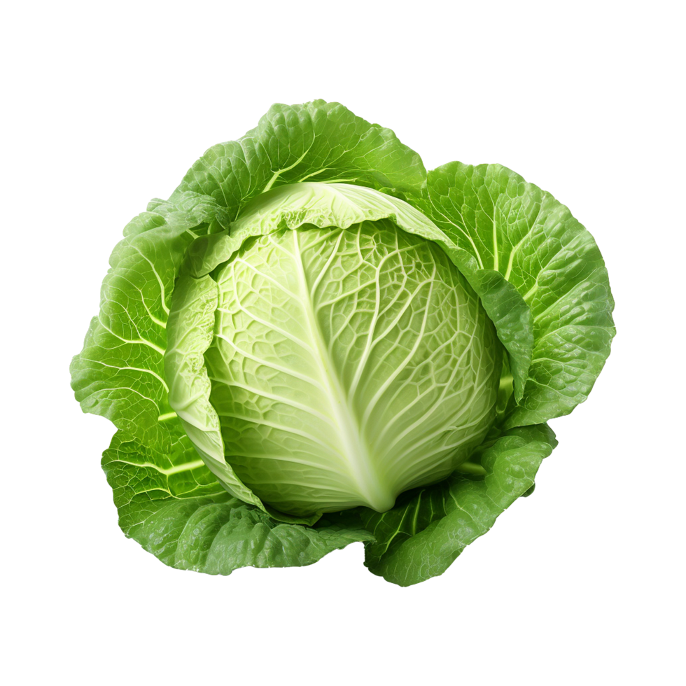 AI generated Green Cabbage isolated on transparent background 36256236 PNG