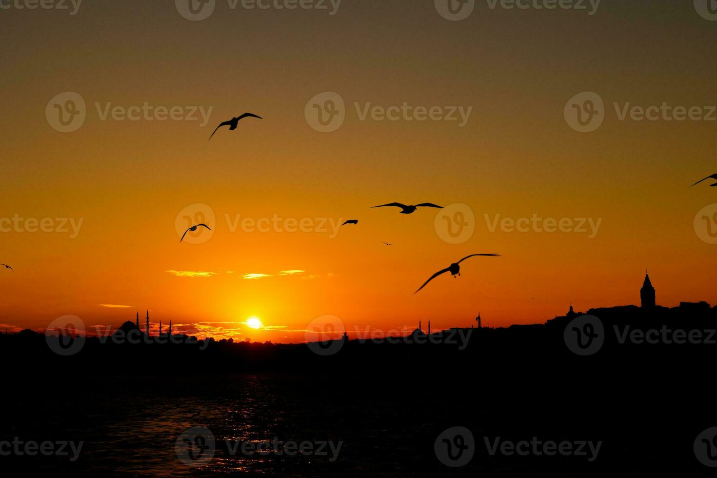 silueta de Estanbul a puesta de sol con galata torre y suleymaniye y gaviotas foto