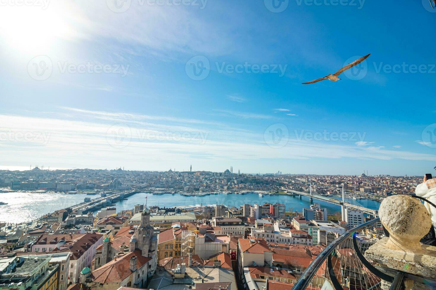 Istanbul view from Galata Tower at daytime with a seagull photo