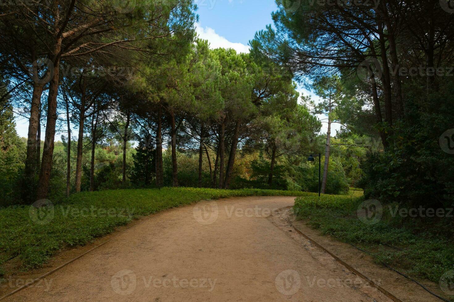 Dirt trekking path in the forest. Landscape architecture concept photo