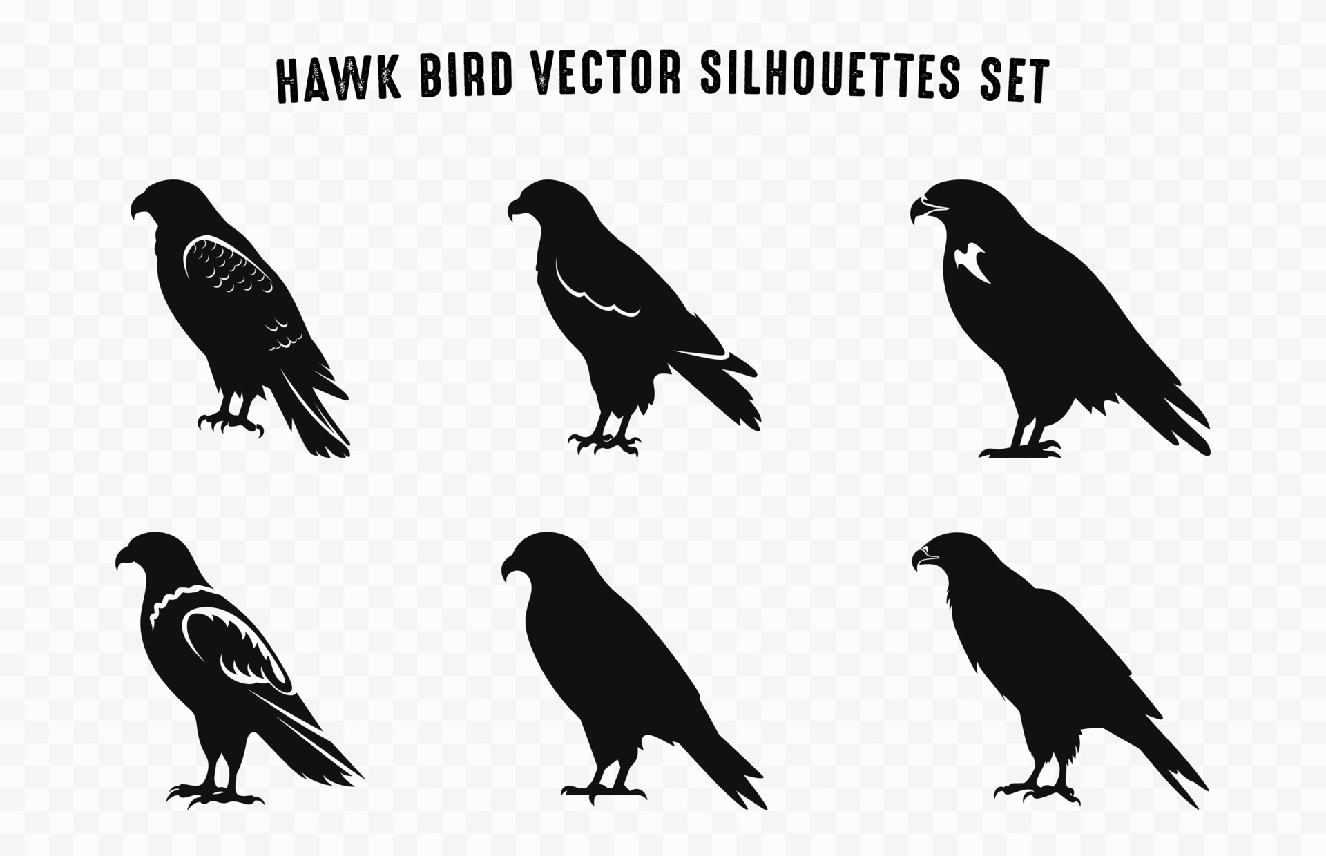Set of Hawk Bird Vector Silhouettes, Hawk Birds Black Silhouette