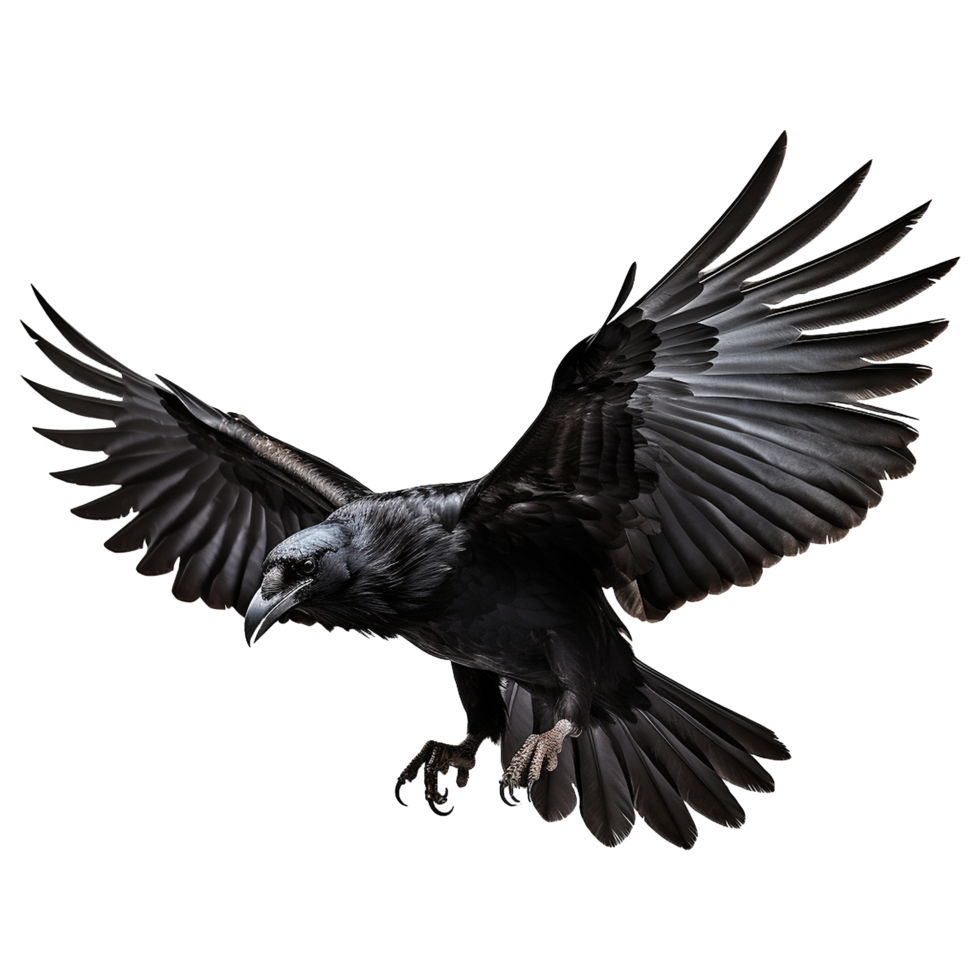 AI generated Flying raven isolated on transparent background png