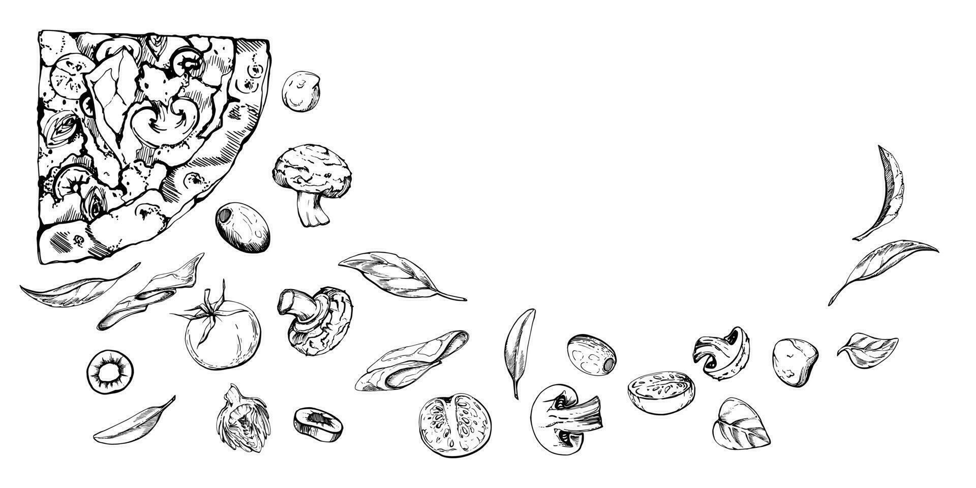 Hand drawn vector ink illustration. Capricciosa pizza slice, mozzarella tomato basil olive prosciutto champignon. Composition isolated on white. Restaurant menu cafe food shop or package, flyer print.