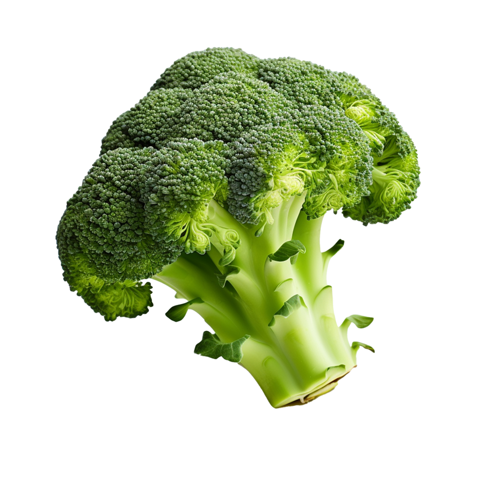 AI generated Broccoli png isolated on transparent background