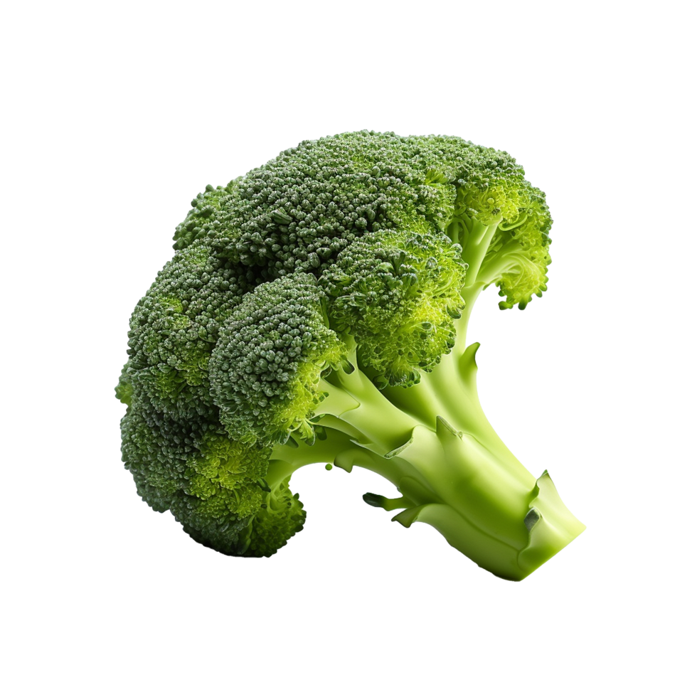 AI generated Broccoli png isolated on transparent background