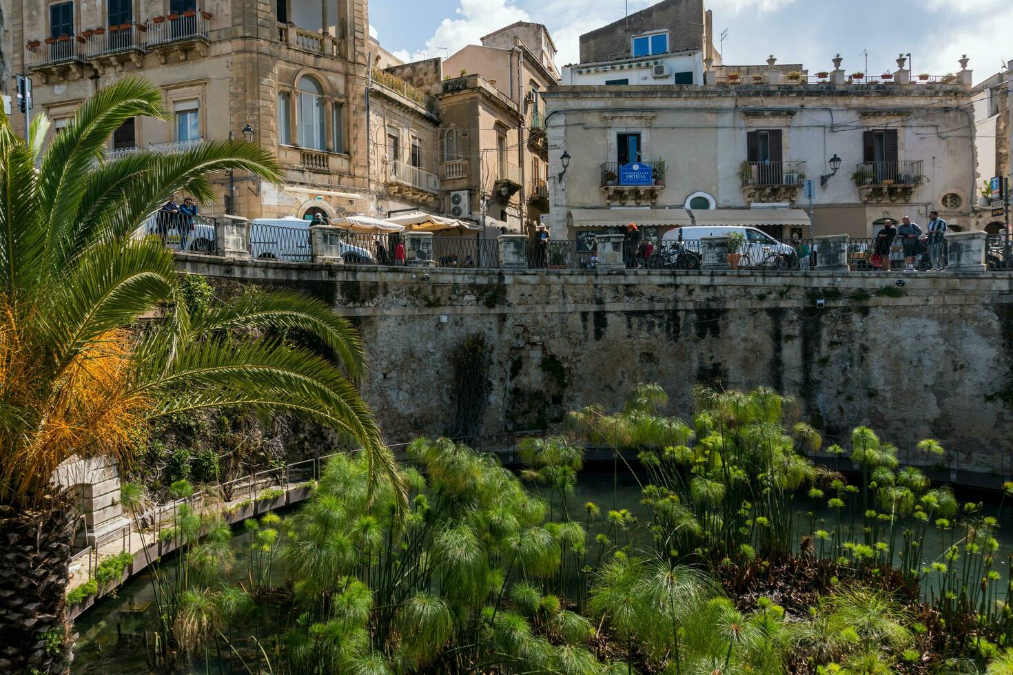 Syracuse, Italy-May 9, 2022-View of the Fonte Aretusa in the island of Ortigia in Syracuse during a sunny day photo
