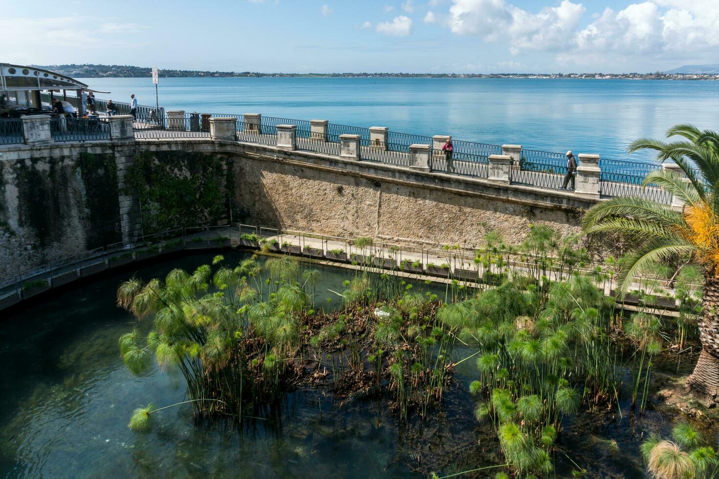 Syracuse, Italy-May 9, 2022-View of the Fonte Aretusa in the island of Ortigia in Syracuse during a sunny day photo