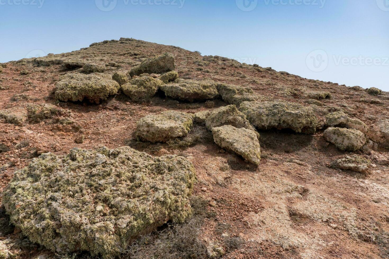 La Geria in Lanzarote photo