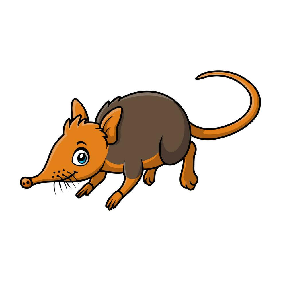 Cute elephant shrew cartoon on white background vector