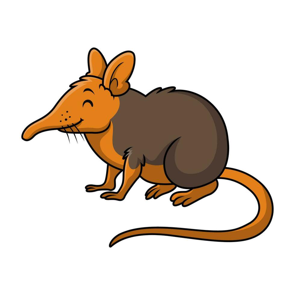 Cute elephant shrew cartoon on white background vector