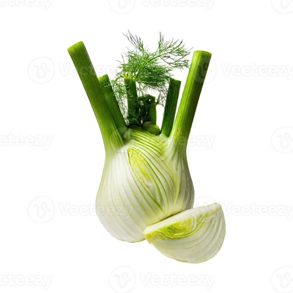 AI generated Green Fennel Bulb With Feathery Leaves, Without Shadow, Isolated Background png