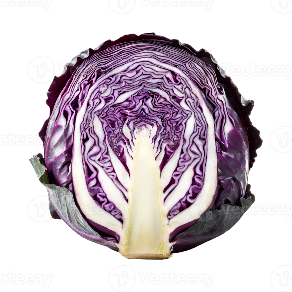AI generated Purple Cabbage With White Veins, Without Shadow, Blank Isolated Background png