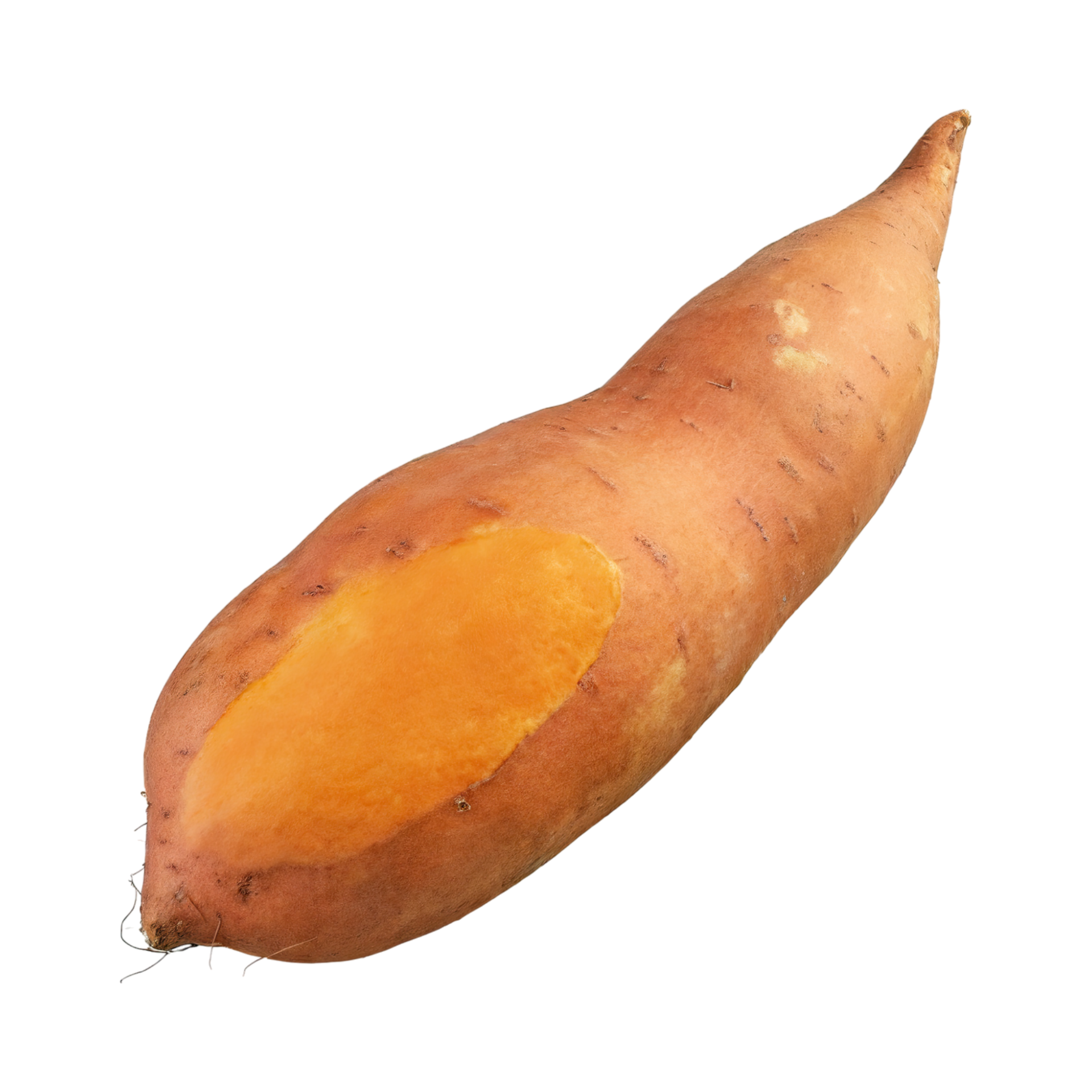 AI Generated Floating Orange Sweet Potato With A Brown Skin 36265171 PNG ai-generated-floating-orange-sweet-potato-with-a-brown-skin-36265171-png