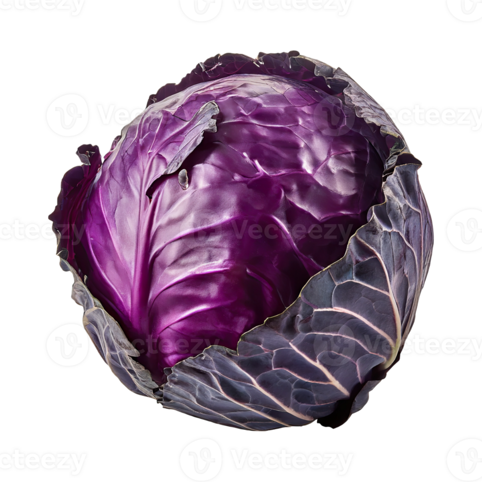 AI generated Purple Cabbage With White Veins, Without Shadow, Blank Isolated Background png