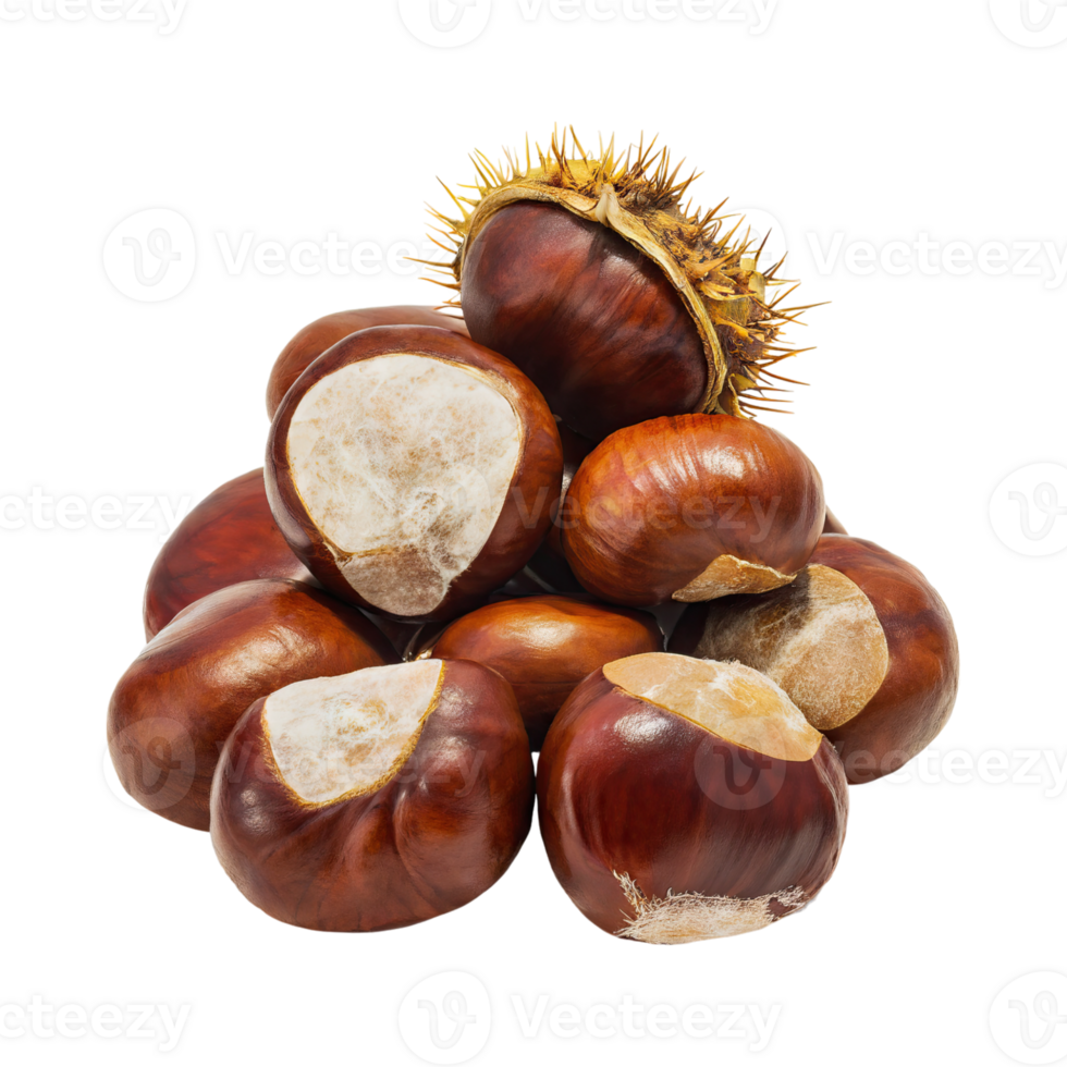 AI generated Bunch Of Brown Chestnut With A Spiky Shell, Blank Isolated Background png