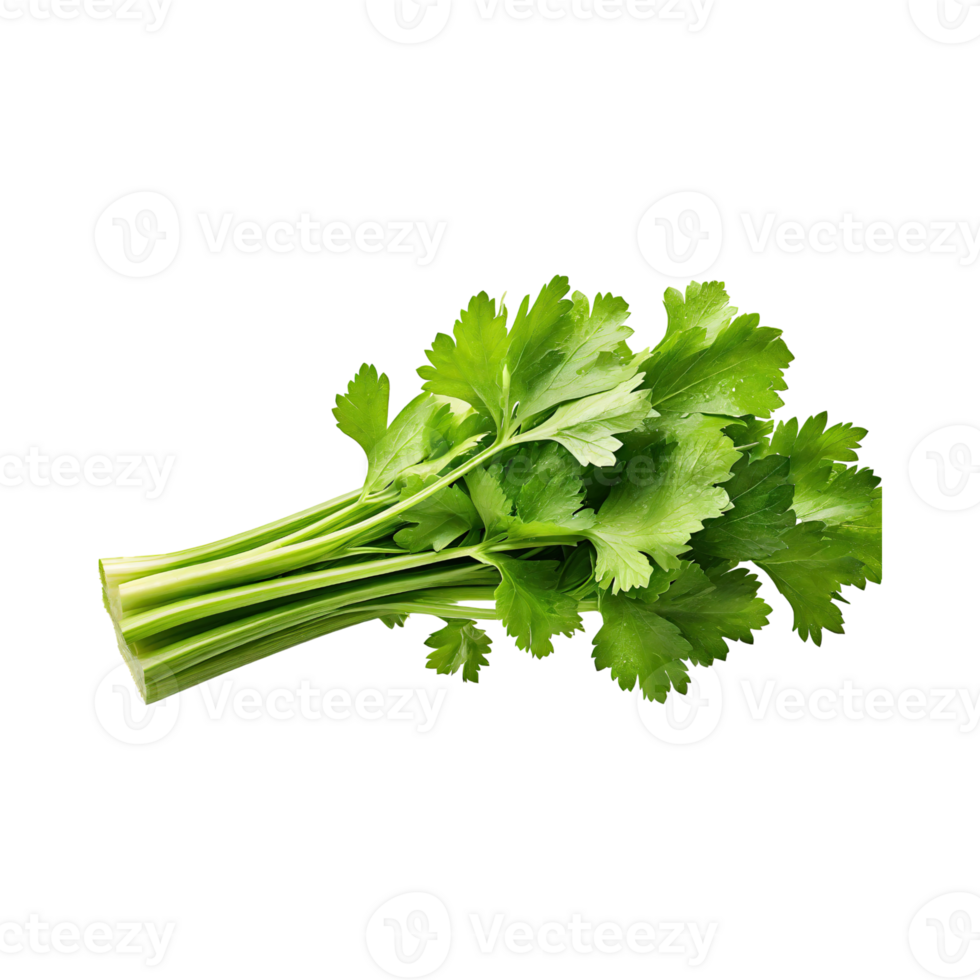 AI generated Bunch Of Fresh Green Leaf Of Celery With Water Drop, Isolated Background png