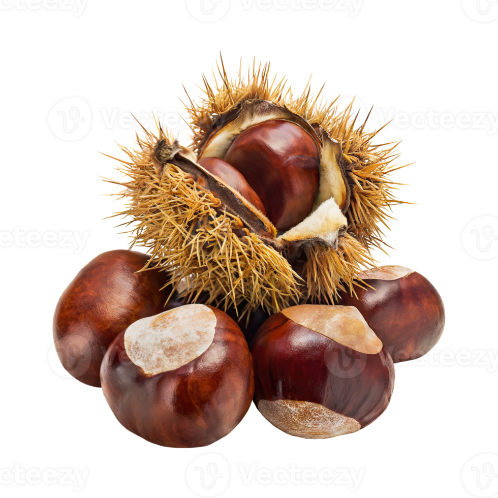 AI generated Bunch Of Brown Chestnut With A Spiky Shell, Blank Isolated Background png