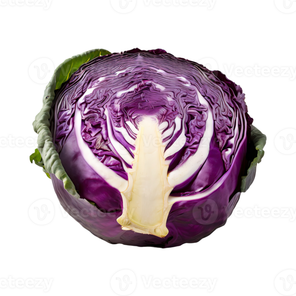 AI generated Purple Cabbage With White Veins, Without Shadow, Blank Isolated Background png