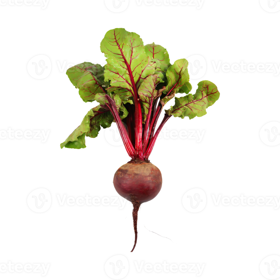 AI generated Red Beetroot With A Green Top, Without Shadow, Isolated Background png