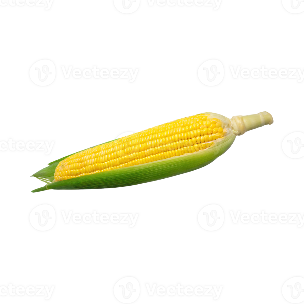 AI generated Floating Bunch Of Yellow Corn With Green Skin, Isolated Background png