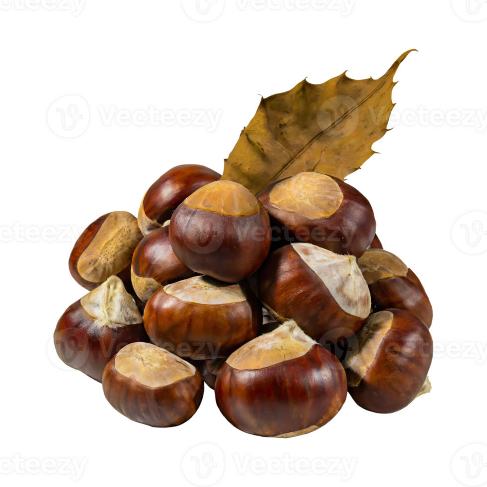 AI generated Bunch Of Brown Chestnut With A Spiky Shell, Blank Isolated Background png