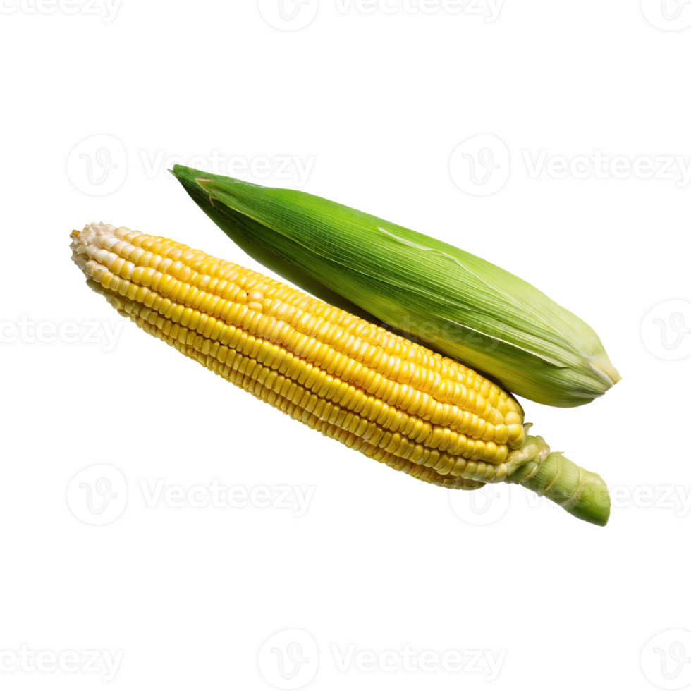 AI generated Floating Bunch Of Yellow Corn With Green Skin, Isolated Background png