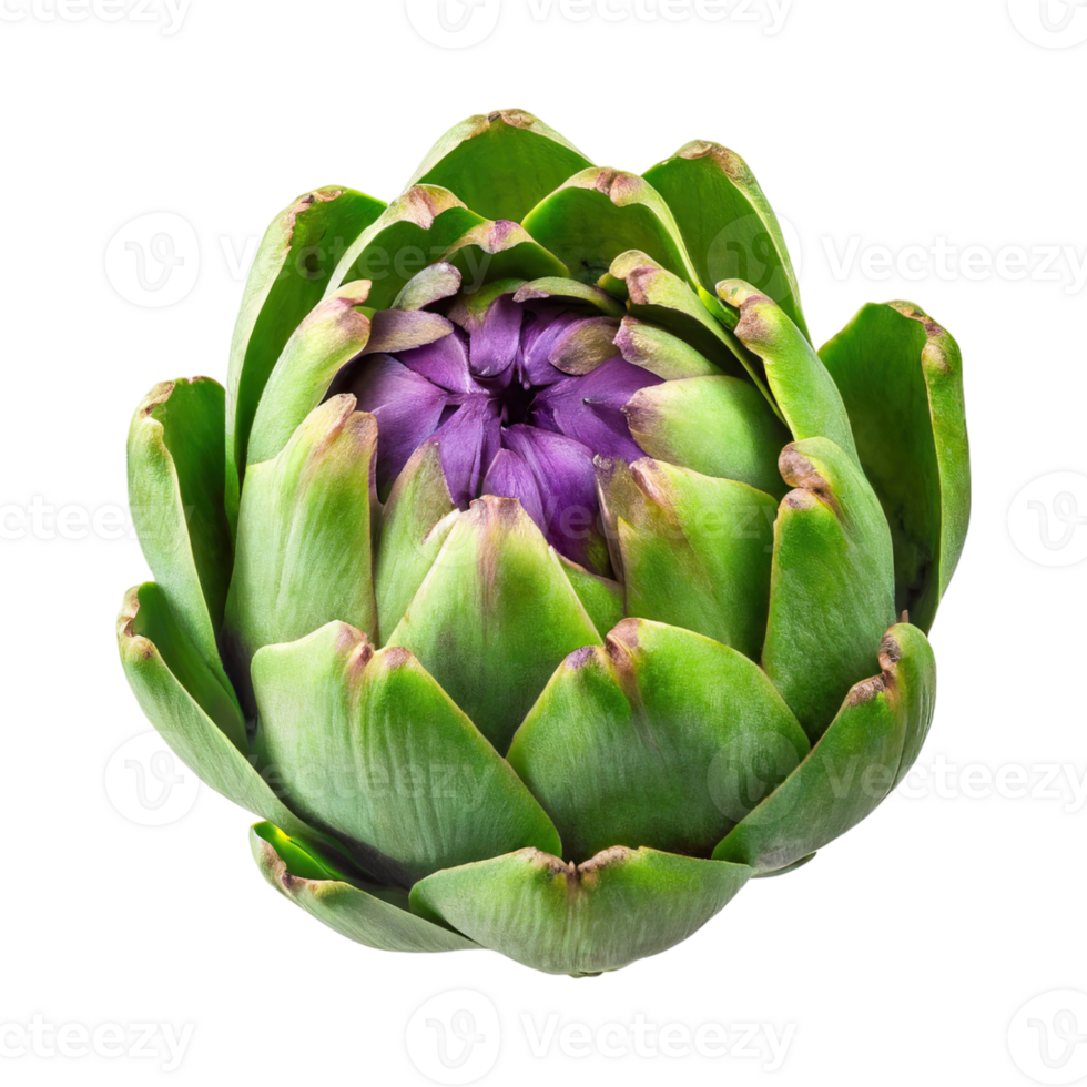 AI generated Floating Green Artichoke With A Purple Center png