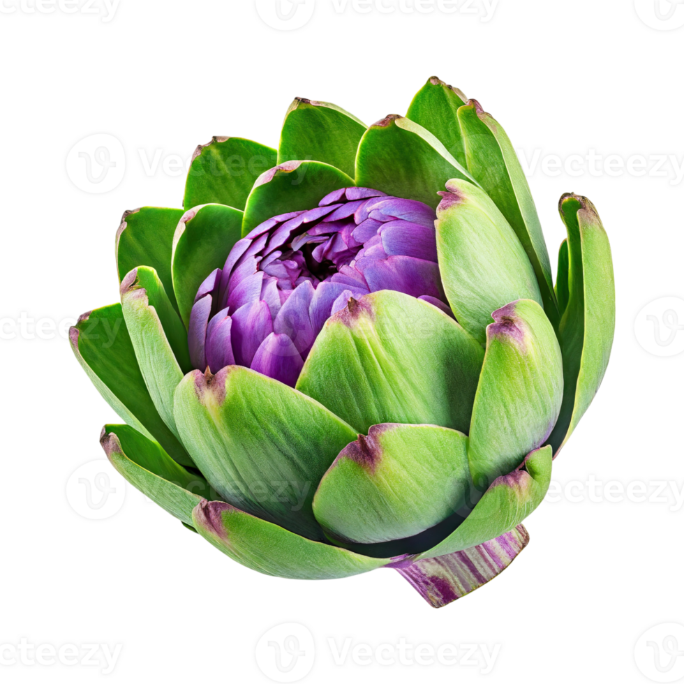 AI generated Floating Green Artichoke With A Purple Center png
