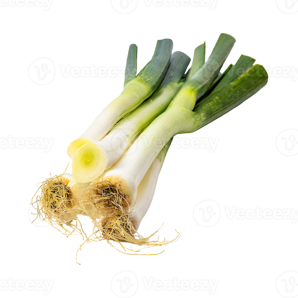 AI generated Green And White Leek With Roots, Isolated Transparent Background png