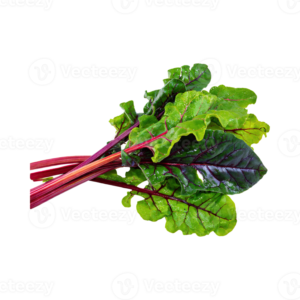 AI generated Bunches Of Green And Purple Swiss Chard With A Leafy Texture, Isolated Transparent Background png