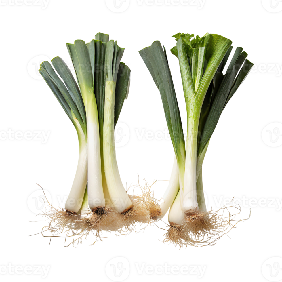 AI generated Green And White Leek With Roots, Isolated Transparent Background png