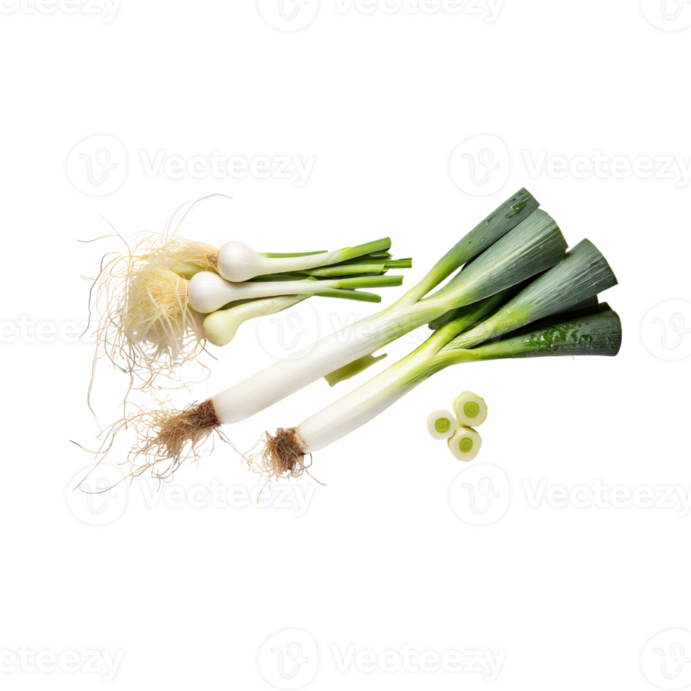AI generated Green And White Leek With Roots, Without Shadow, Isolated Transparent Background png