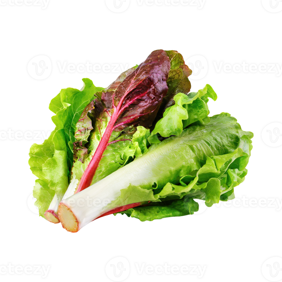 AI generated Green And Red Romaine Lettuce, Isolated Transparent Background png