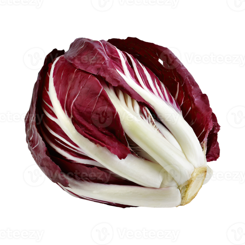 AI generated Radicchio With A Bitter Taste, Without Shadow, Isolated Transparent Background png