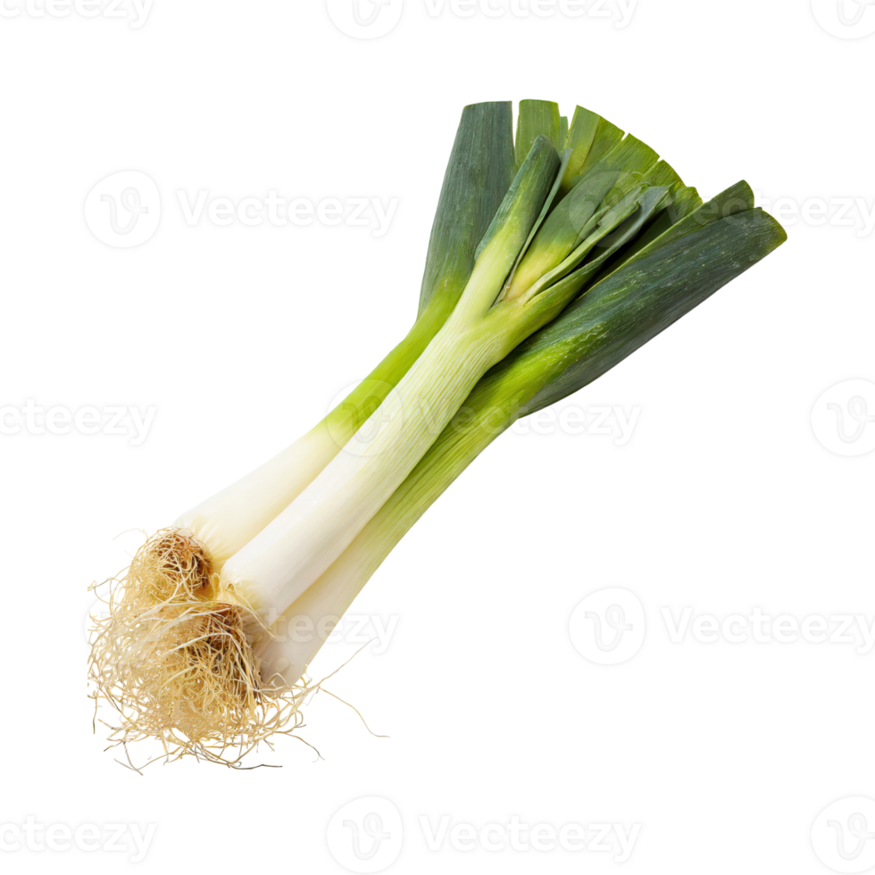 AI generated Green And White Leek With Roots, Isolated Transparent Background png