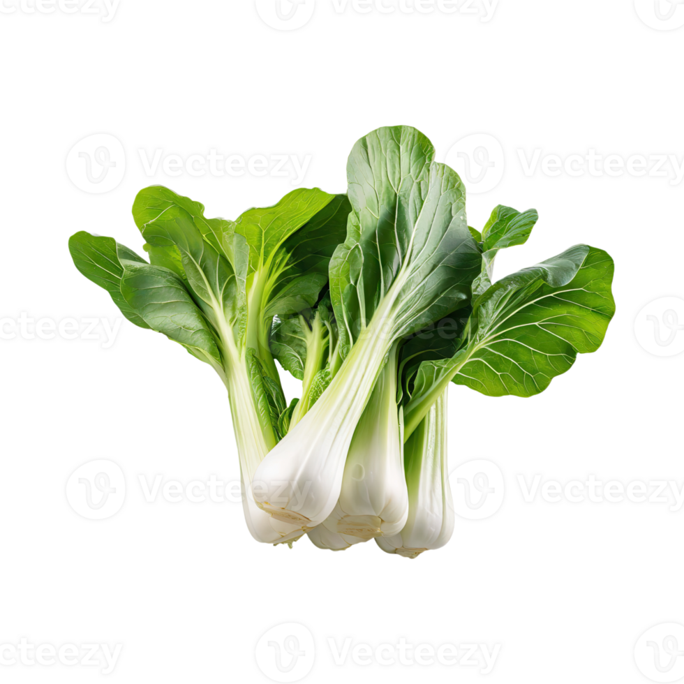 AI generated Green And White Bok Choy With Sliced Bok Choy, Isolated Transparent Background png