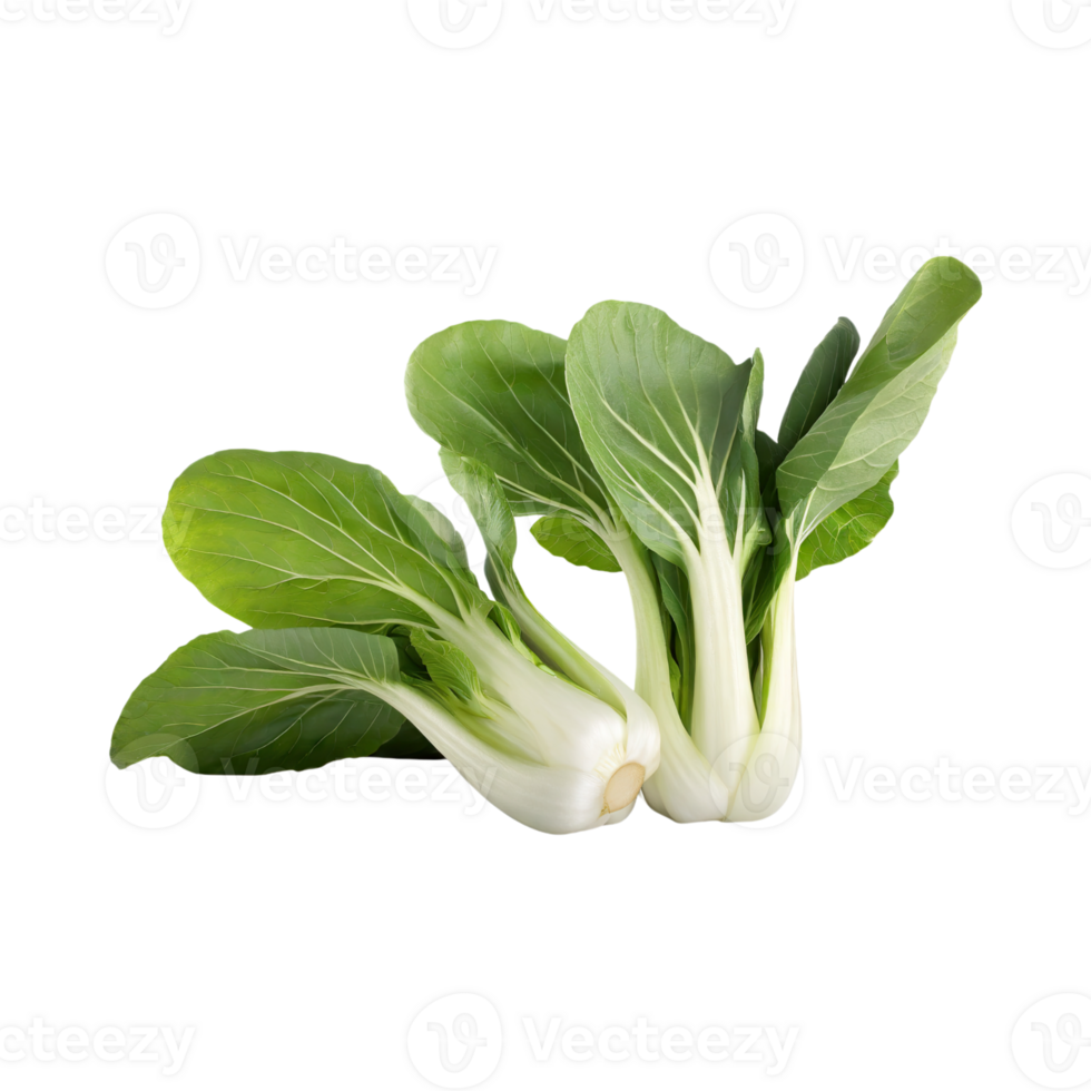 AI generated Green And White Bok Choy With Sliced Bok Choy, Without Shadow, Isolated Transparent Background png