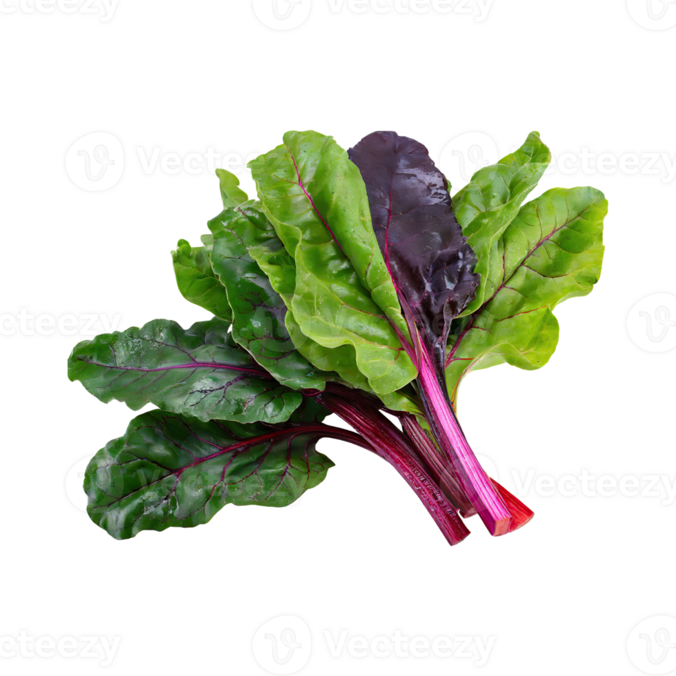 AI generated Bunches Of Green And Purple Swiss Chard With A Leafy Texture, Isolated Transparent Background png