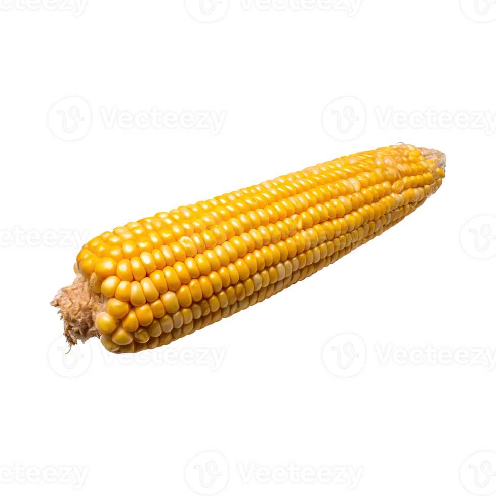 AI generated Yellow Corn Cob With Kernels, Without Shadow, Isolated Background png