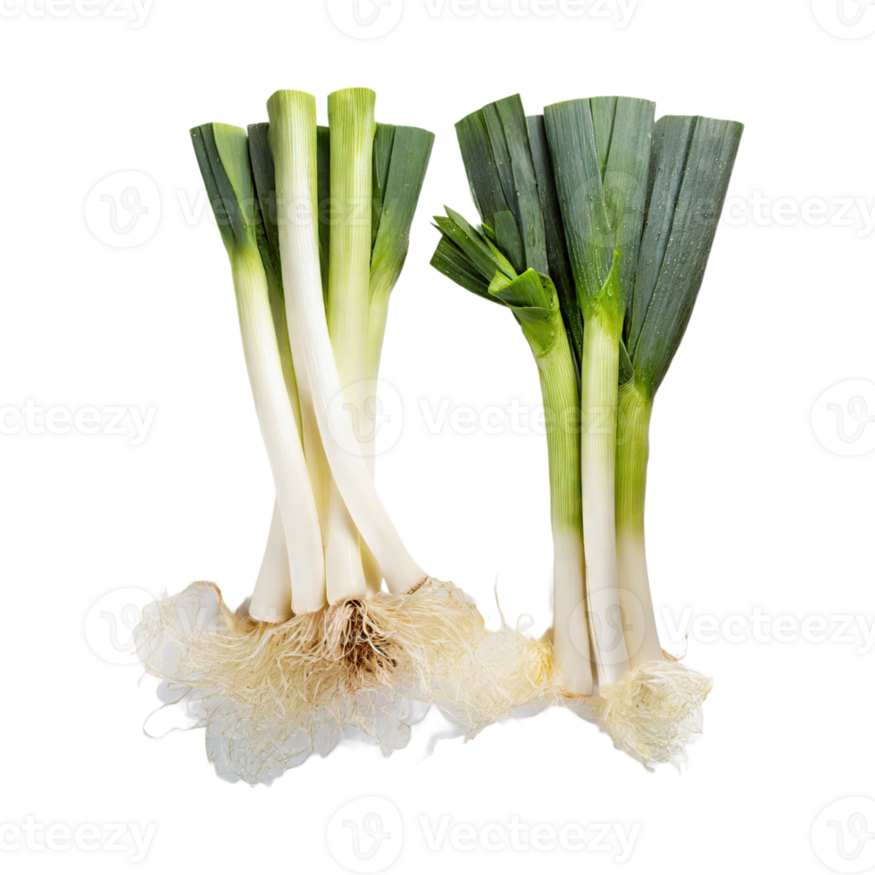 AI generated Green And White Leek With Roots, Isolated Transparent Background png