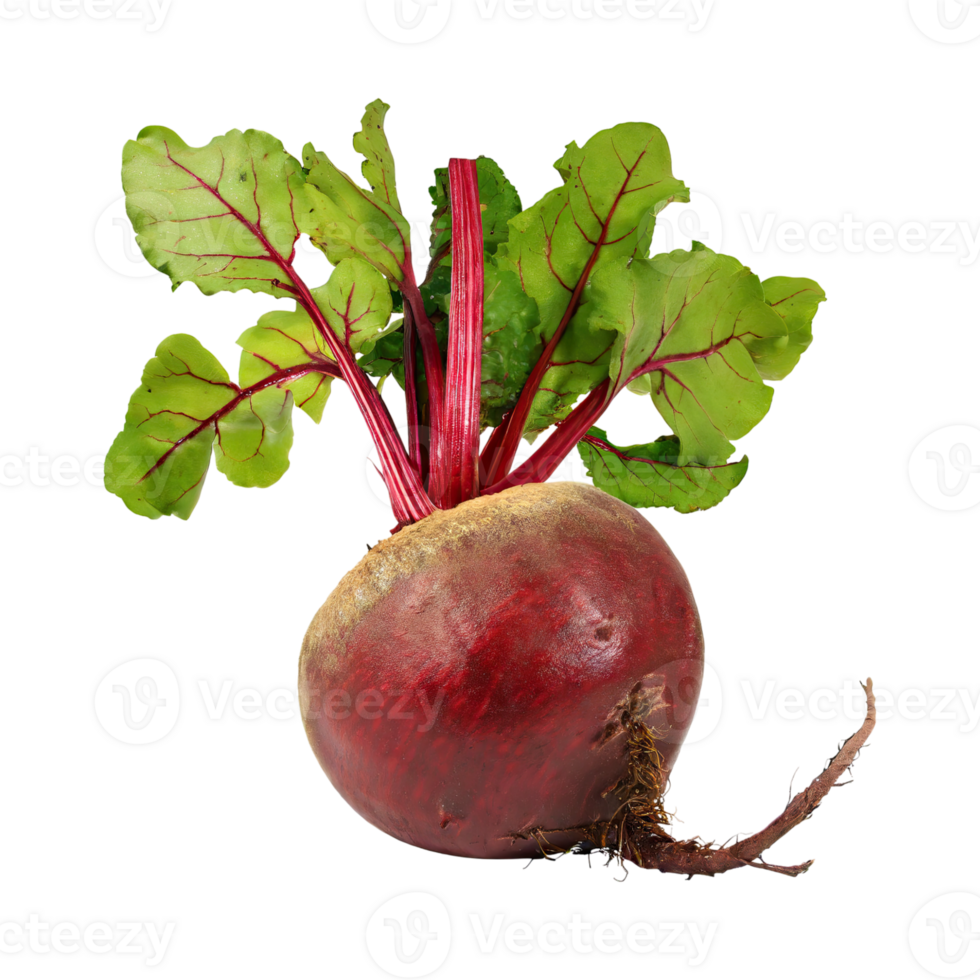 AI generated Red Beetroot With A Green Top, Without Shadow, Isolated Background png