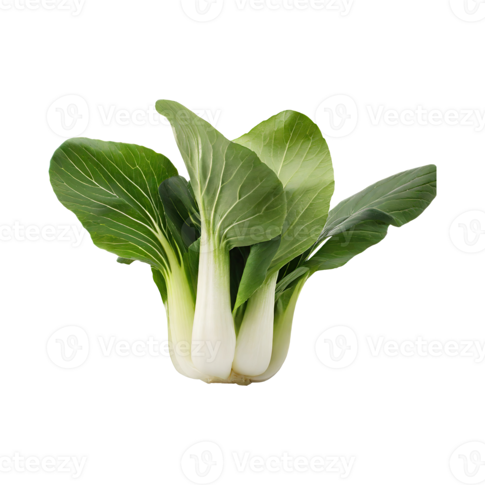AI generated Green And White Bok Choy With Sliced Bok Choy, Without Shadow, Isolated Transparent Background png