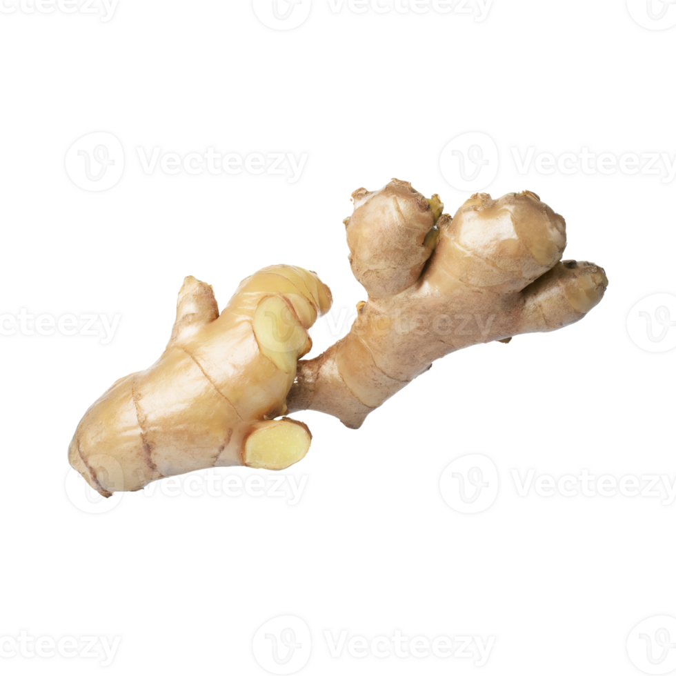 AI generated Floating Of White And Brown Ginger, Without Shadow, Isolated Transparent Background png