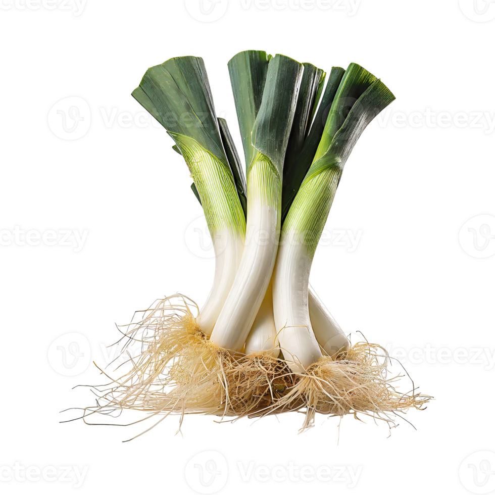 AI generated Green And White Leek With Roots, Isolated Transparent Background png