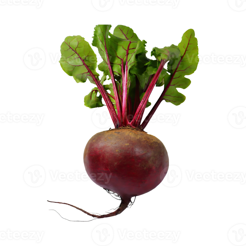 AI generated Red Beetroot With A Green Top, Without Shadow, Isolated Background png