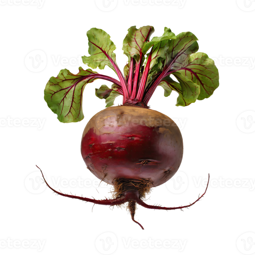 AI generated Red Beetroot With A Green Top, Without Shadow, Isolated Background png