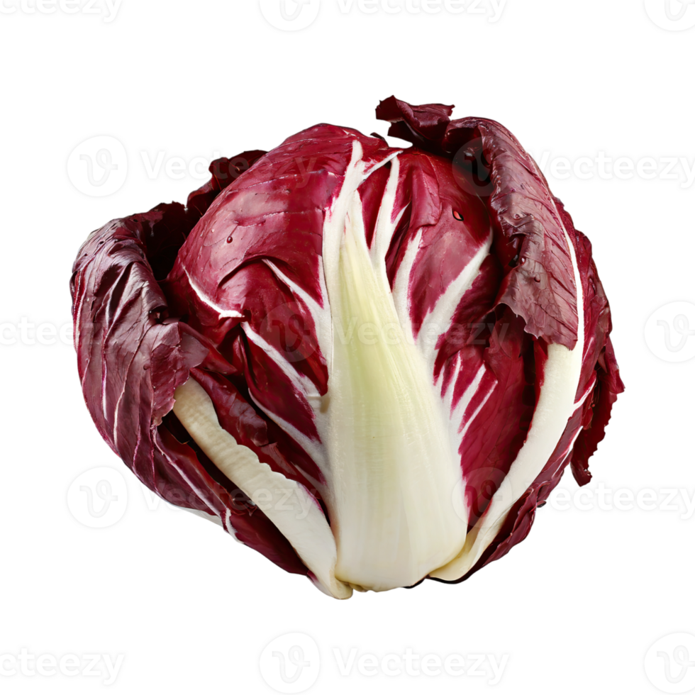 AI generated Radicchio With A Bitter Taste, Without Shadow, Isolated Transparent Background png