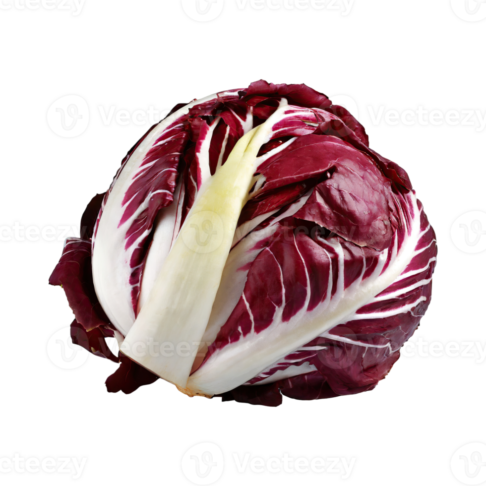 AI generated Radicchio With A Bitter Taste, Without Shadow, Isolated Transparent Background png